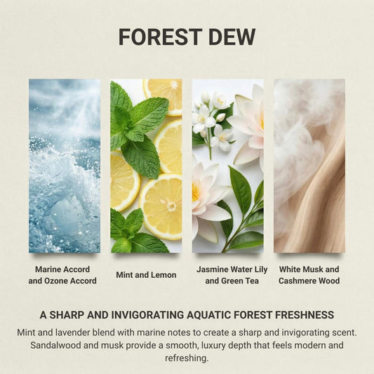 Forest Dew